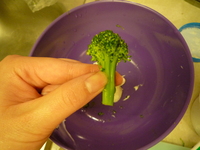 Broccoli Ae-Small broccoli 