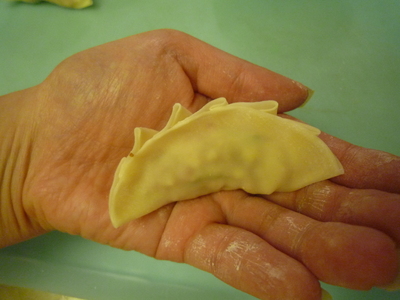 Gyoza-front view