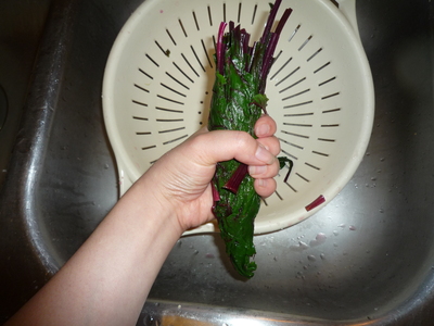 Beet leaves-squeeze out water