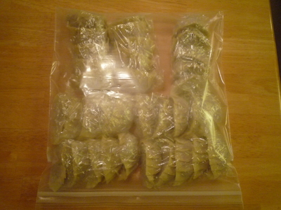 Gyoza-Freezer bag