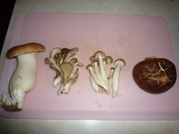 Wafu Pizza-four types of mushrooms
