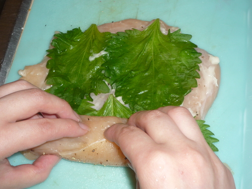 Chicken ume shiso-Roll the chicken from the ume side