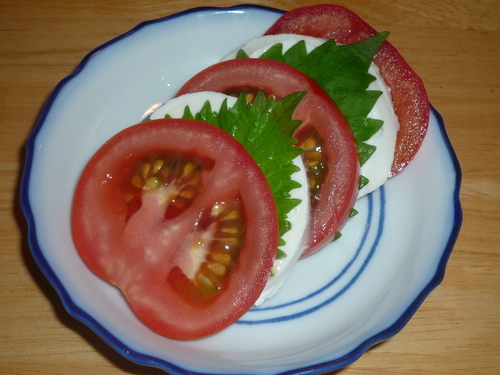 Tomato-cheese-shiso-without dressing