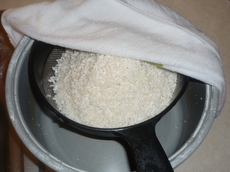 Matsutake gohan_rice