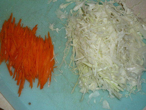 Cabbage Salad_Cabbage and carrots