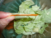Cabbage Tsukemono-carrots2