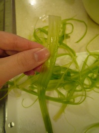 Celery-skin