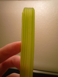 Celery-translucent