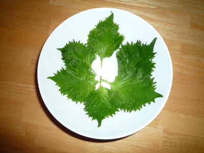 Ingredient in the spotlight-shiso multiple leaves