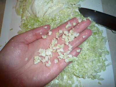 Gyoza-chop cabbage 2