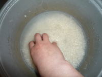 Scrubbing Rice
